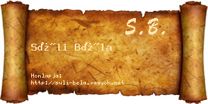 Süli Béla névjegykártya